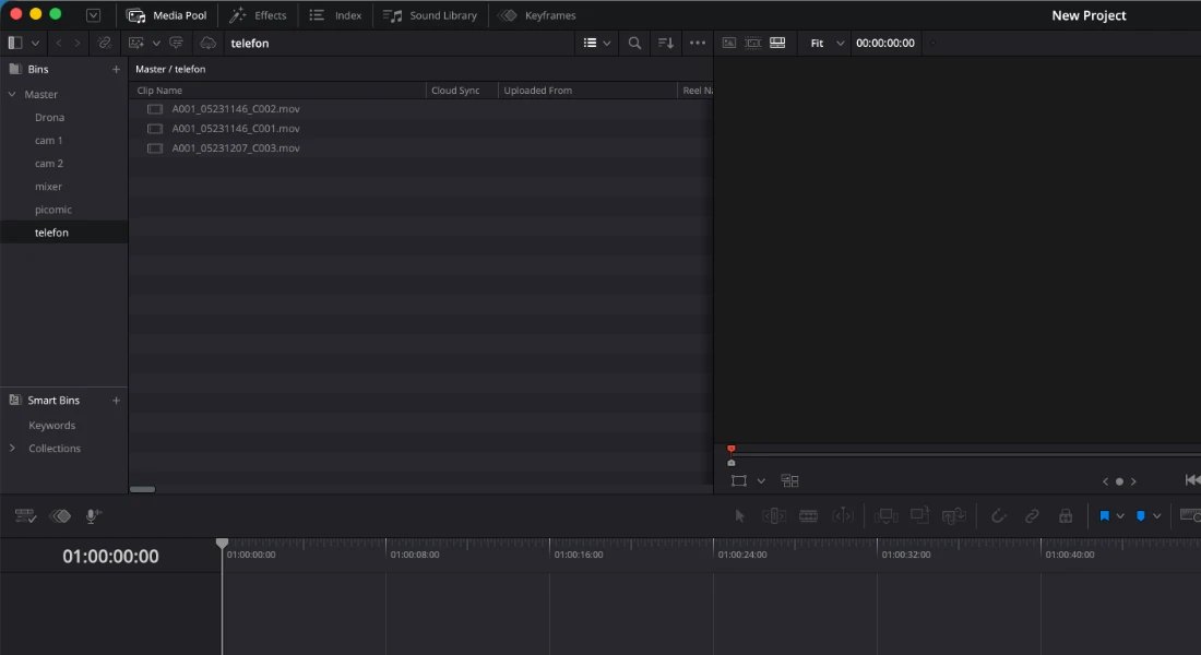 DaVinci Resolve Studio, Media Pool
